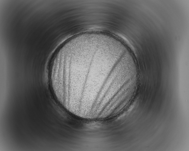 X0000094170835200711161706