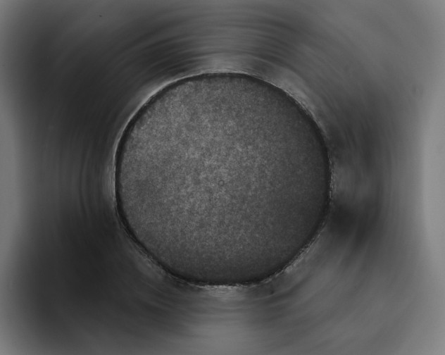 X0000094170836200711161706