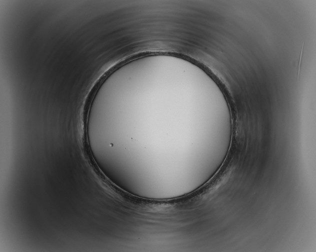 X0000094170837200711161706