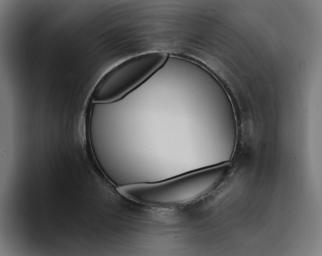 X0000094170838200711161706