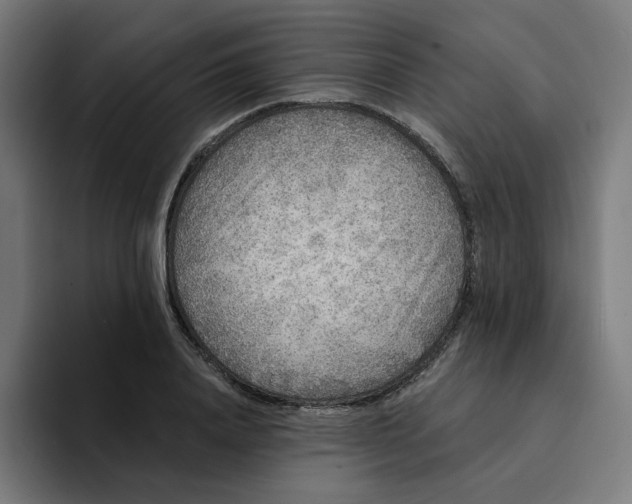 X0000094170840200711161706