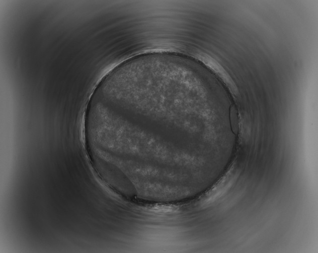 X0000094170842200711161706