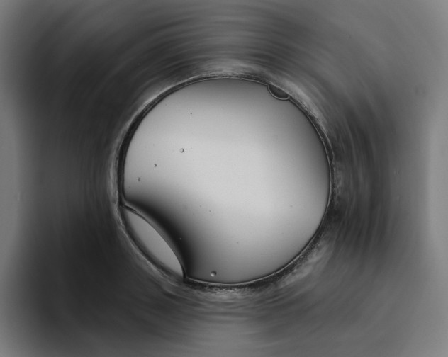 X0000094170843200711161706