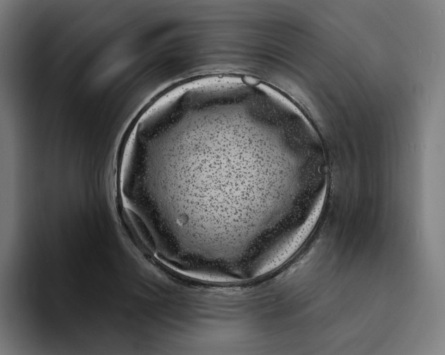 X0000094170844200711161706