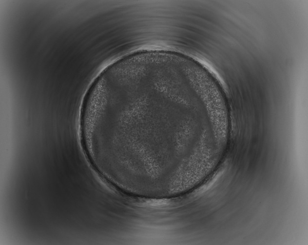 X0000094170845200711161706