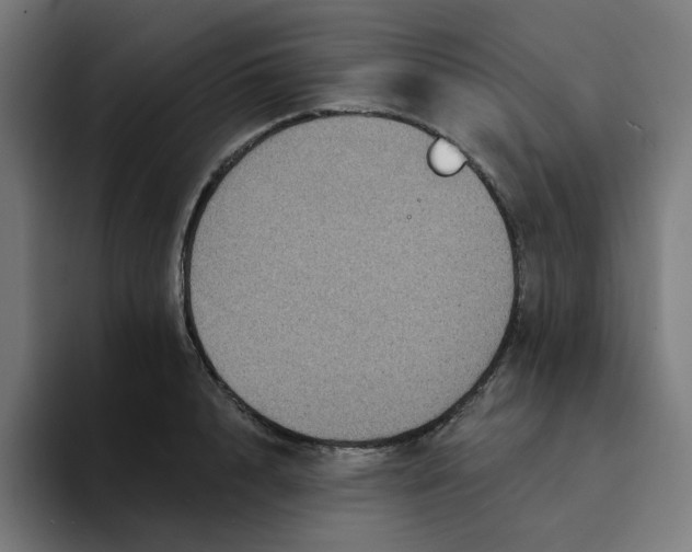 X0000094170848200711161706