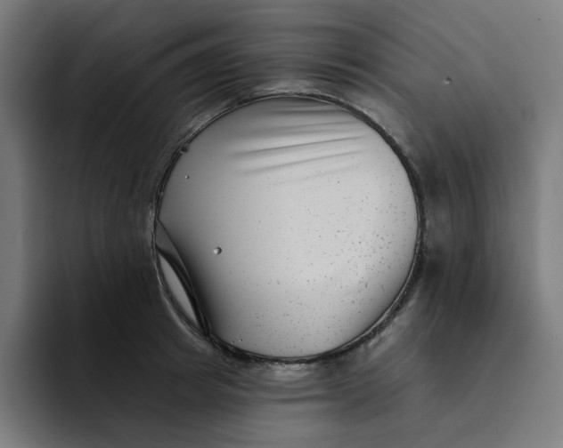 X0000094170849200711161706