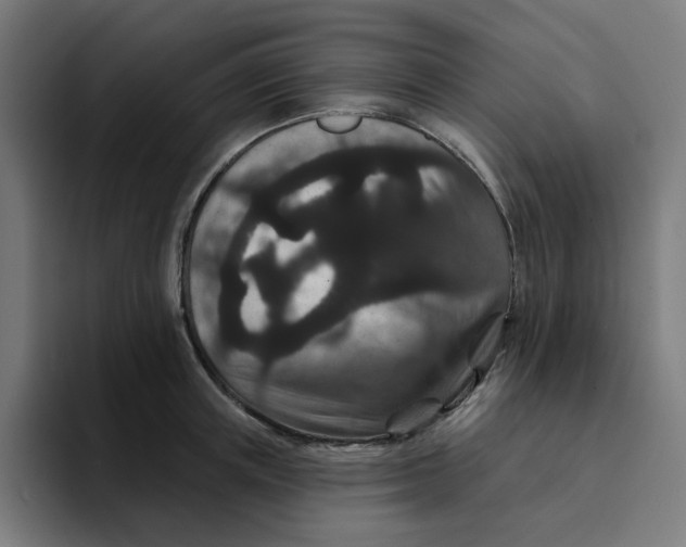 X0000094170851200711161706