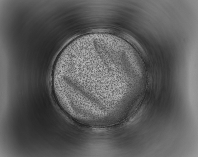 X0000094170852200711161706