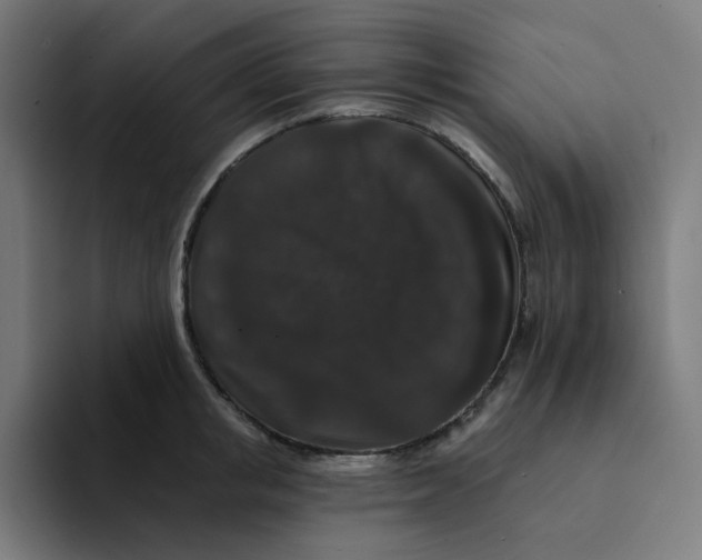 X0000094170853200711161706