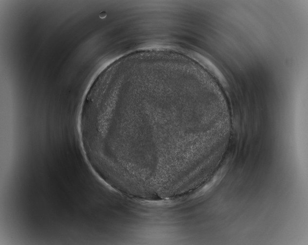 X0000094170855200711161706