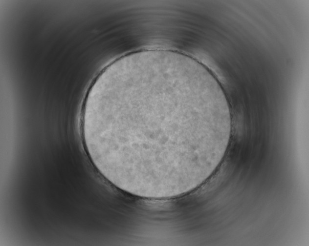 X0000094170856200711161706