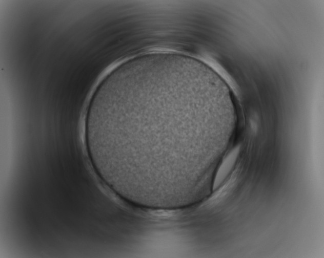 X0000094170862200711161706