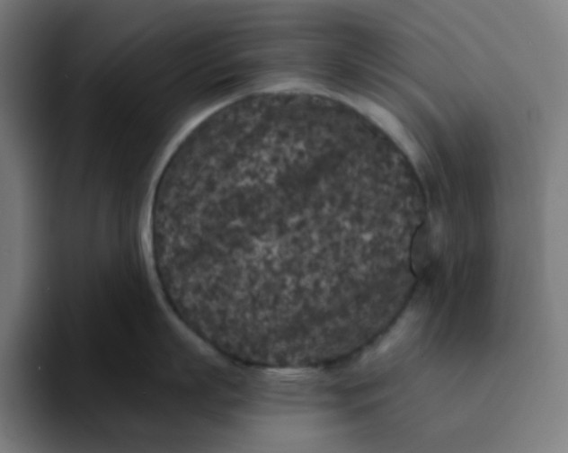 X0000094170863200711161706