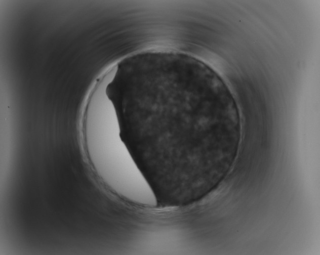 X0000094170864200711161706