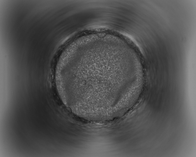 X0000094170871200711161706