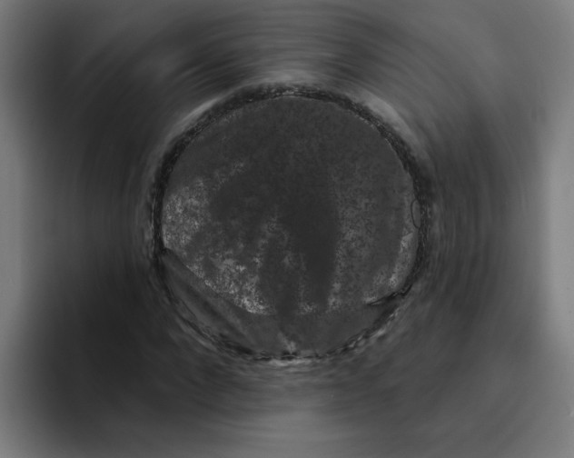 X0000094170872200711161706