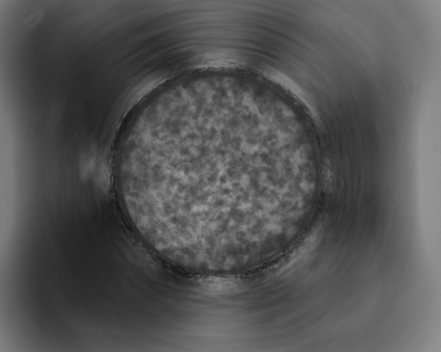 X0000094170874200711161706