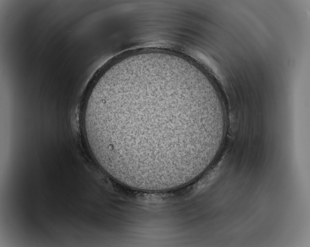 X0000094170875200711161706