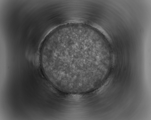 X0000094170878200711161706