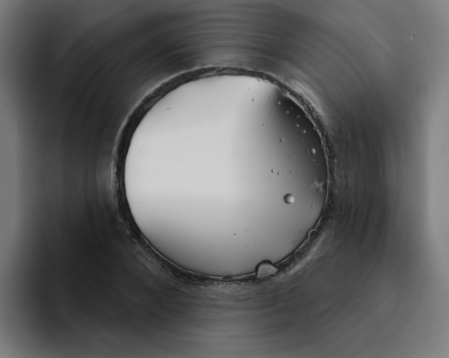 X0000094170880200711161706