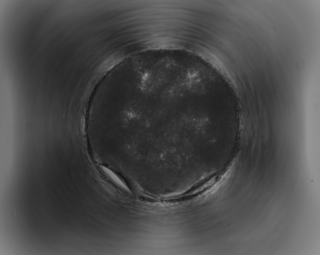 X0000094170881200711161706