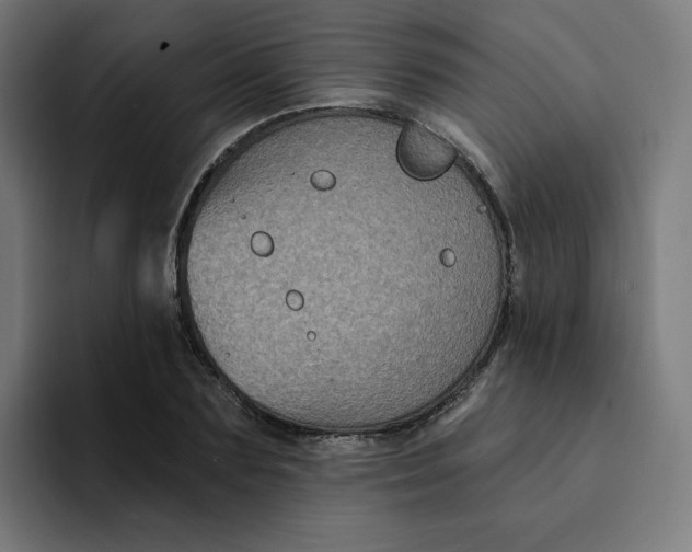 X0000094170883200711161706