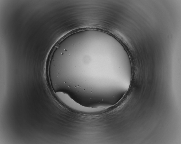 X0000094170884200711161706