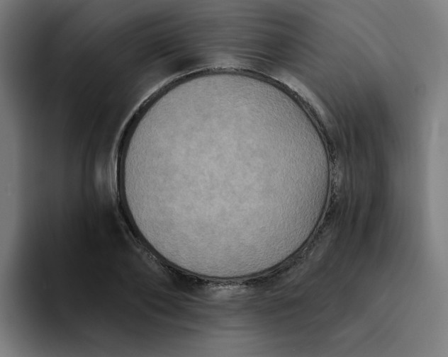 X0000094170886200711161706