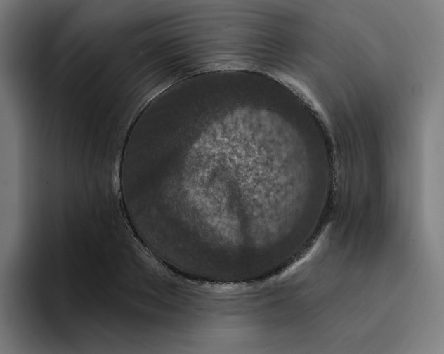 X0000094170889200711161705