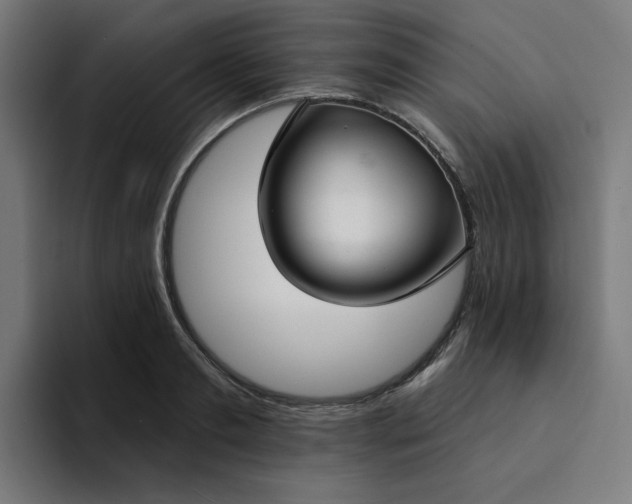 X0000094170893200711161705