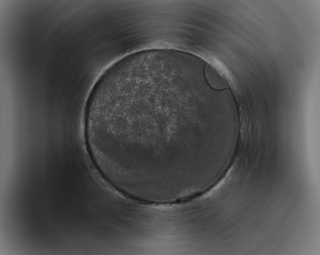 X0000094170896200711161705