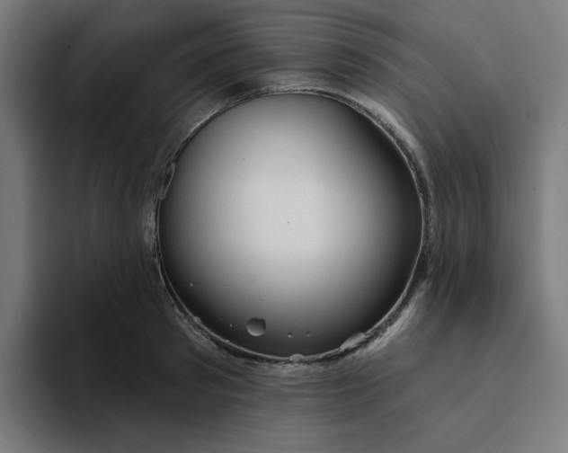 X0000094170897200711161705