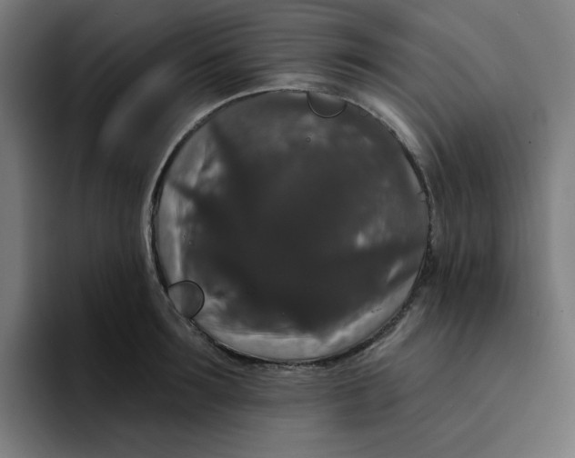 X0000094170899200711161705