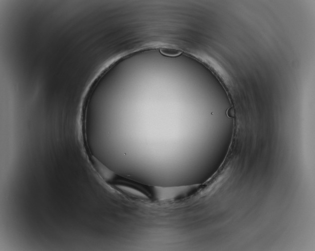 X0000094170902200711161705