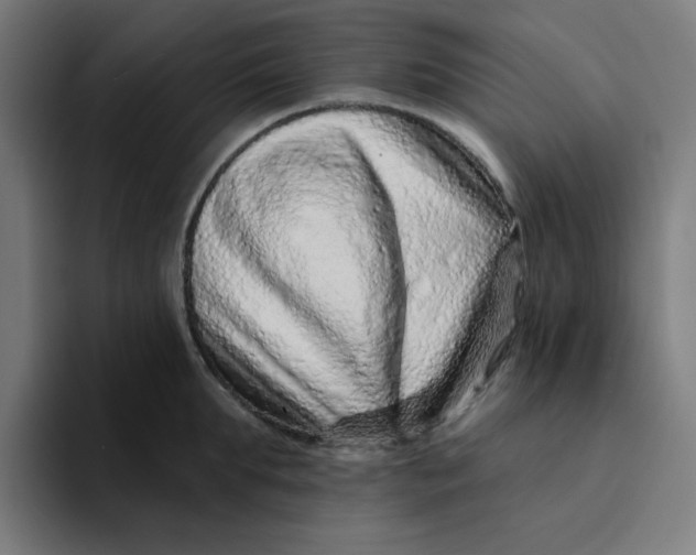 X0000094170903200711161705