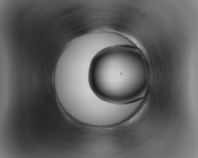 X0000094170905200711161705