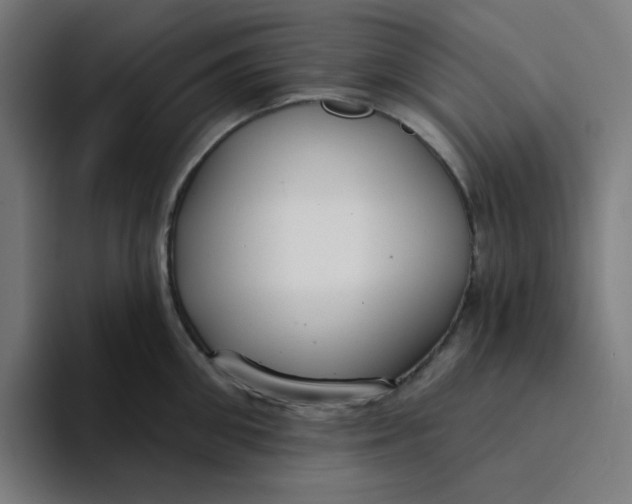 X0000094170906200711161705