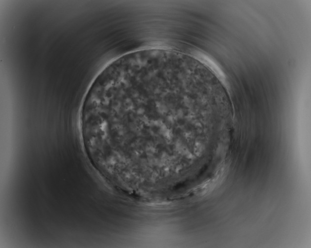 X0000094170907200711161705