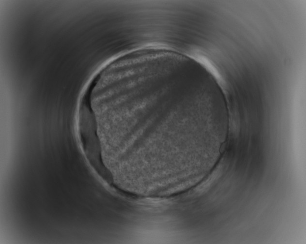 X0000094170910200711161705