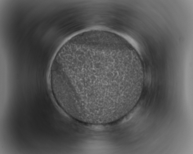 X0000094170911200711161705