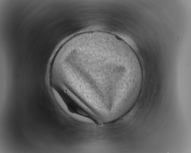 X0000094170912200711161705