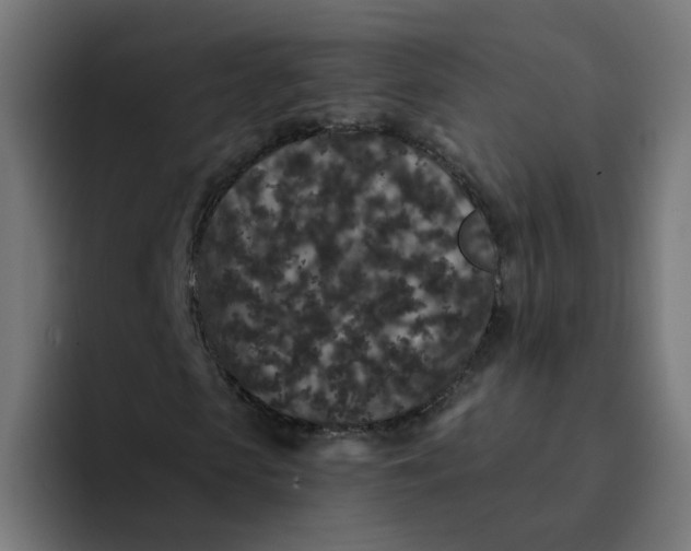 X0000094170913200711161705