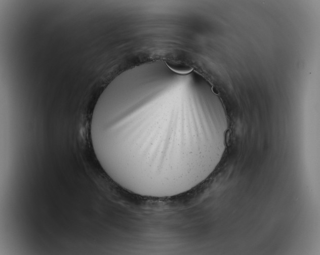 X0000094170914200711161705