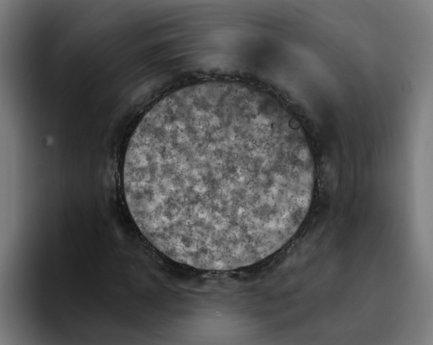 X0000094170918200711161705