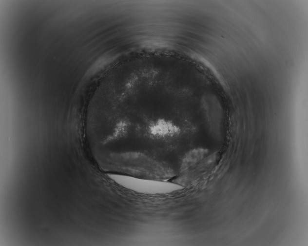 X0000094170919200711161705