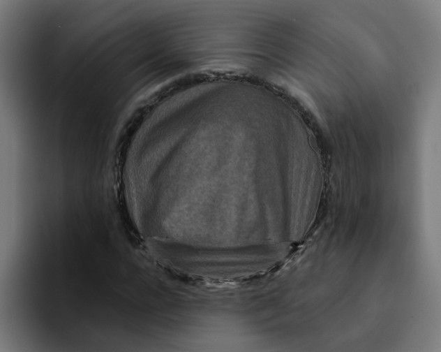 X0000094170920200711161705