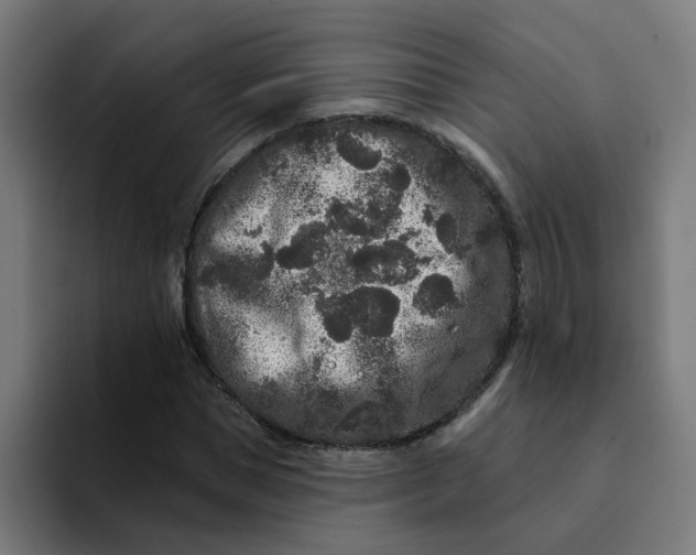 X0000094170921200711161705