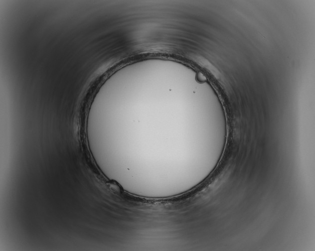 X0000094170922200711161705