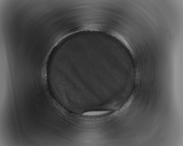 X0000094170923200711161705